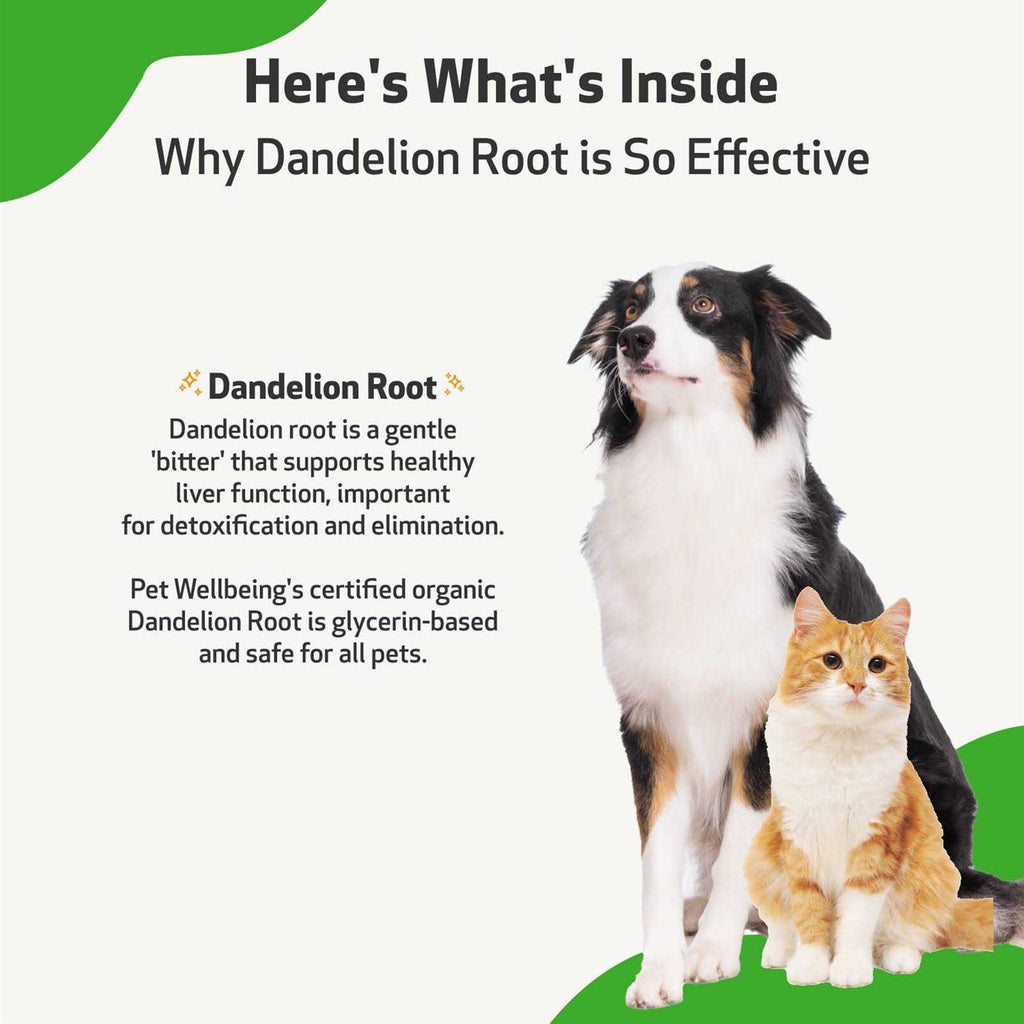 Dandelion Root Liquid Digestive & Liver Supplement for Cats & Dogs R5501