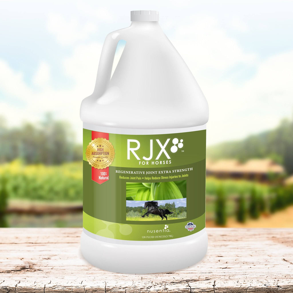 Natural Glucosamine Joint Support for Horses Q345524