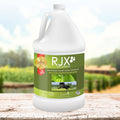 Natural Glucosamine Joint Support for Horses Q345524