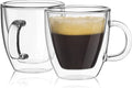 Double Wall Insulated Espresso Mugs Set of 2 B17241