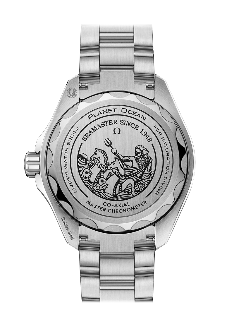 45.5mm Master Chronometer Watch A3013
