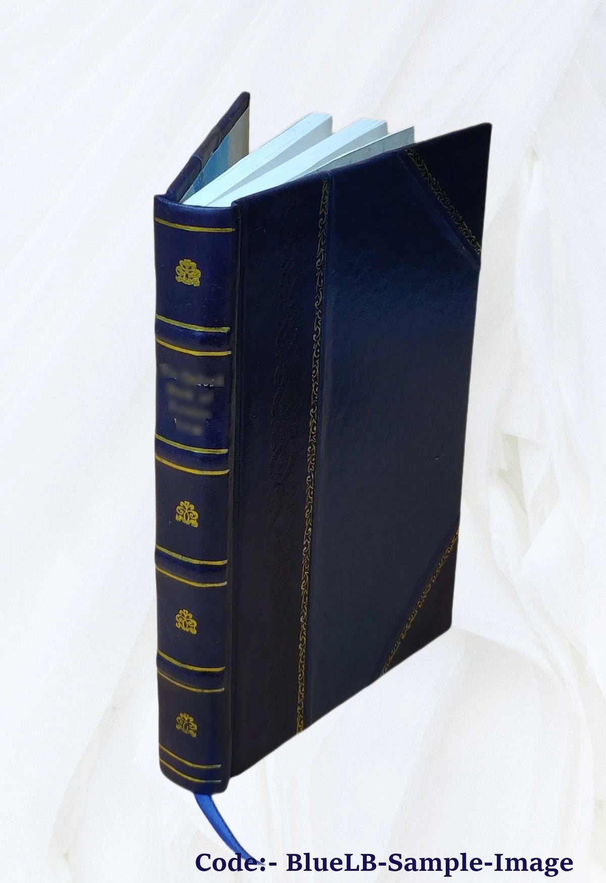 Leather Bound Book P693