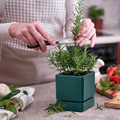White Set of 3 Plastic Herb Planter Pot with Saucer W8551