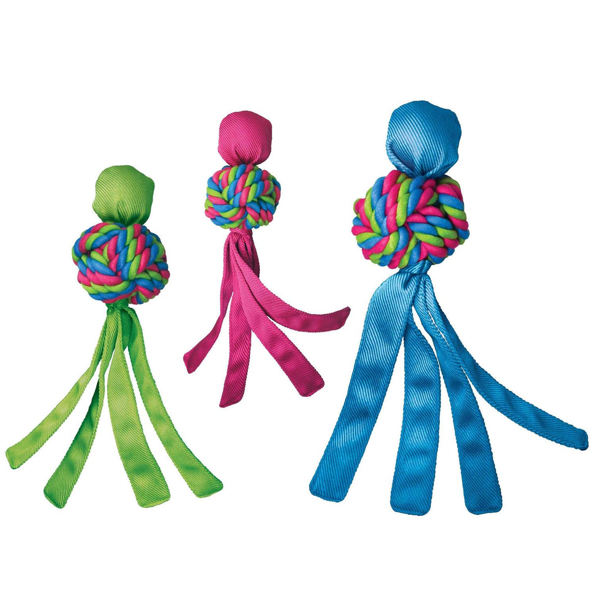 Dog Toy C55887