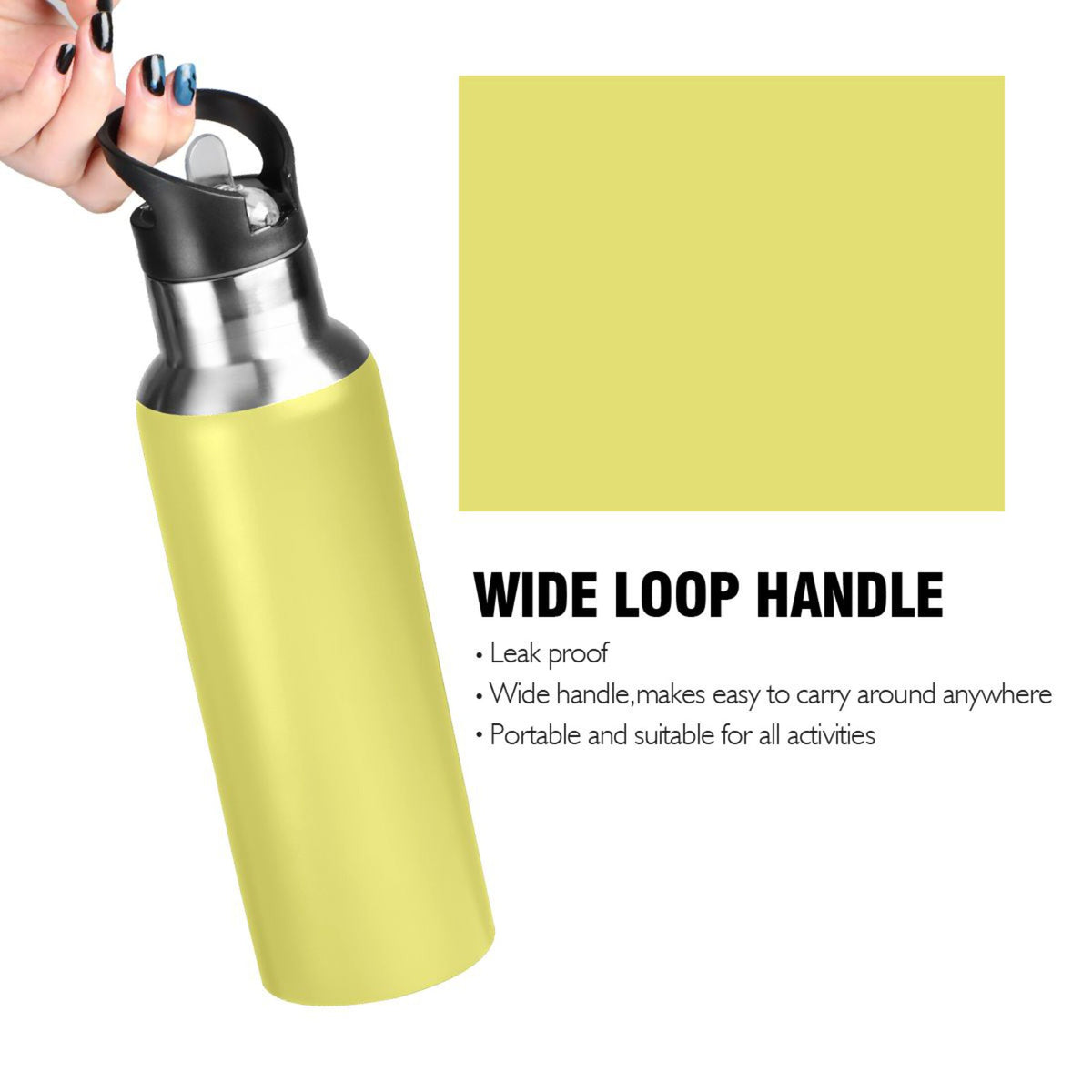 20 OZ Stainless Steel Vacuum Insulated Water Bottle with Straw Lid H447459