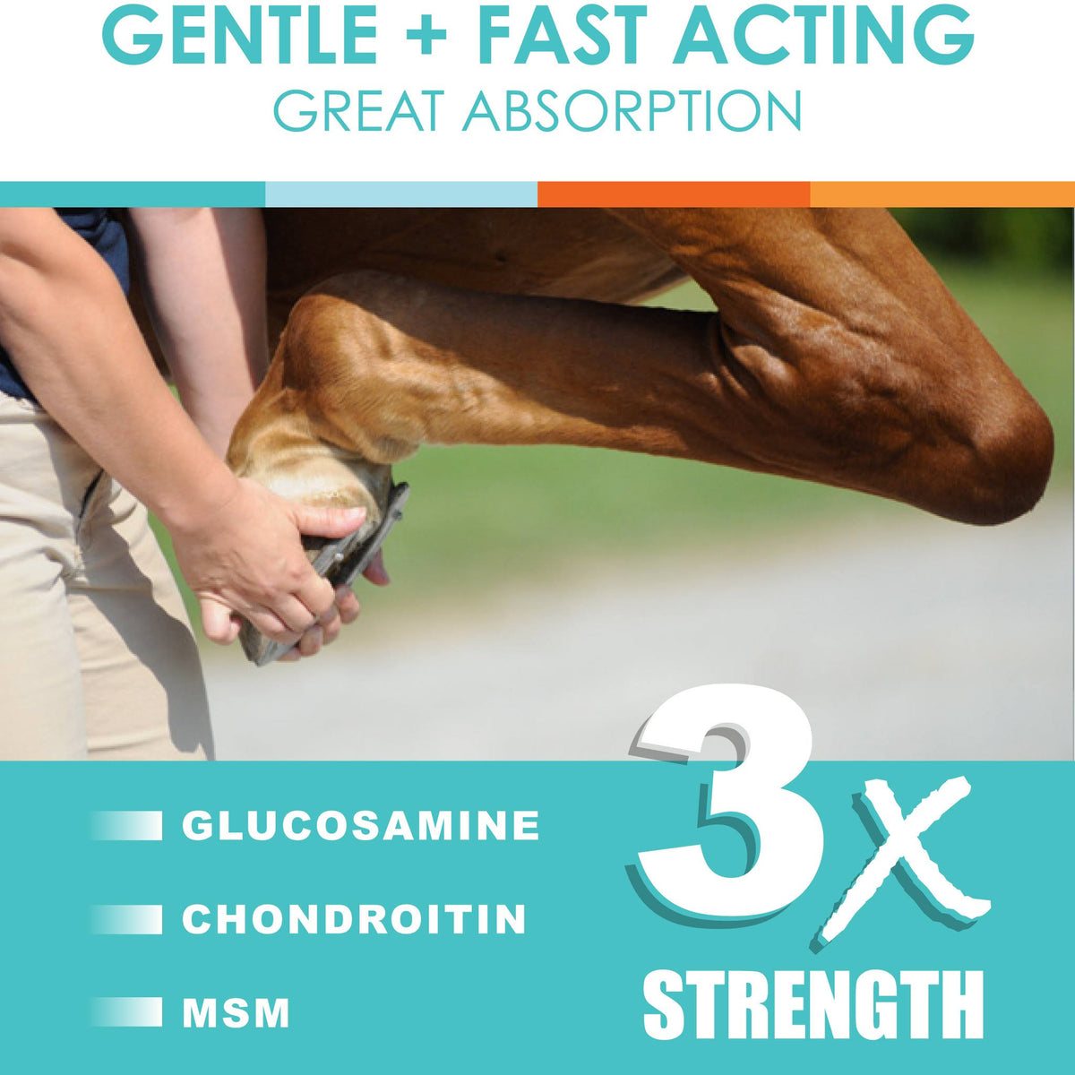 Natural Glucosamine Joint Support for Horses Q345524