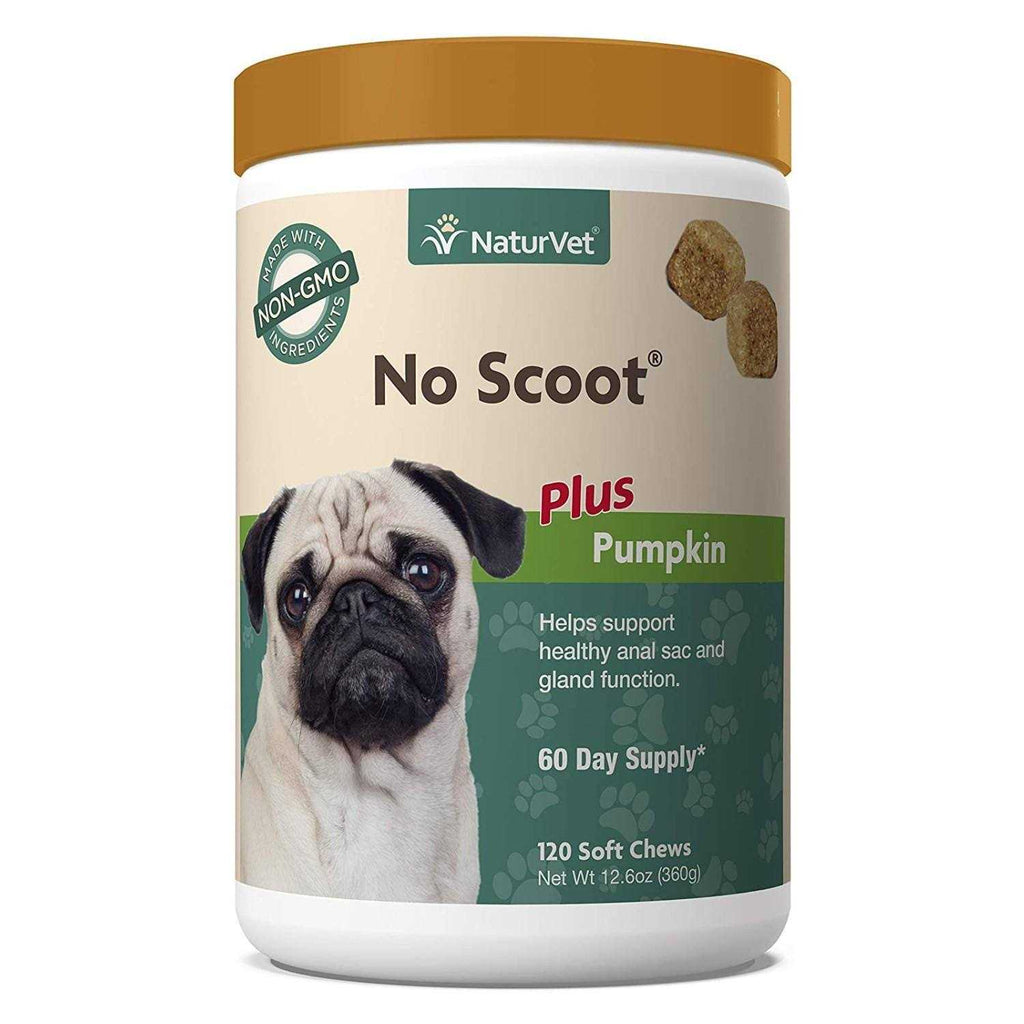 No Scoot Plus Pumpkin for Dogs F46868