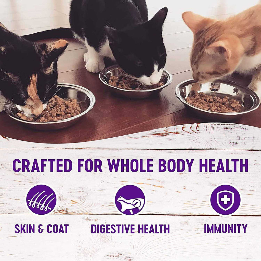 Premium Canned Cat Wet Food Pate 12 Pack 4 Flavor K439633