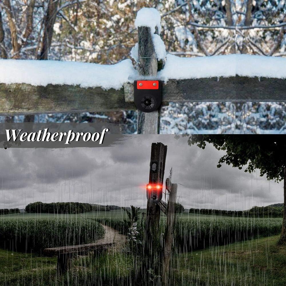 Pack of 8 Solar Powered Animal Deterrent Light A3832