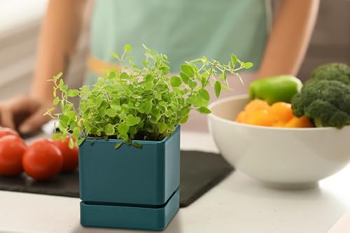 White Set of 3 Plastic Herb Planter Pot with Saucer W8551