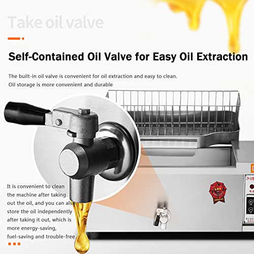 25L Stainless Steel Electric Deep Fryer D960