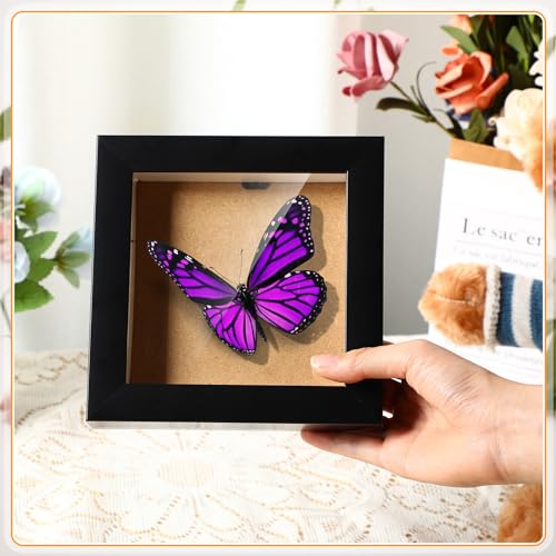 Black 5x5 Inch 5x7 Inch Wood Shadow Box Display Case G332