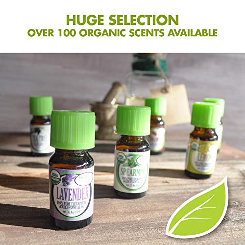 0.33 oz Organic Undiluted Pure Frankincense Essential Oil K591400