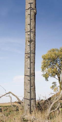 20ft Reach Climbing System Y326958