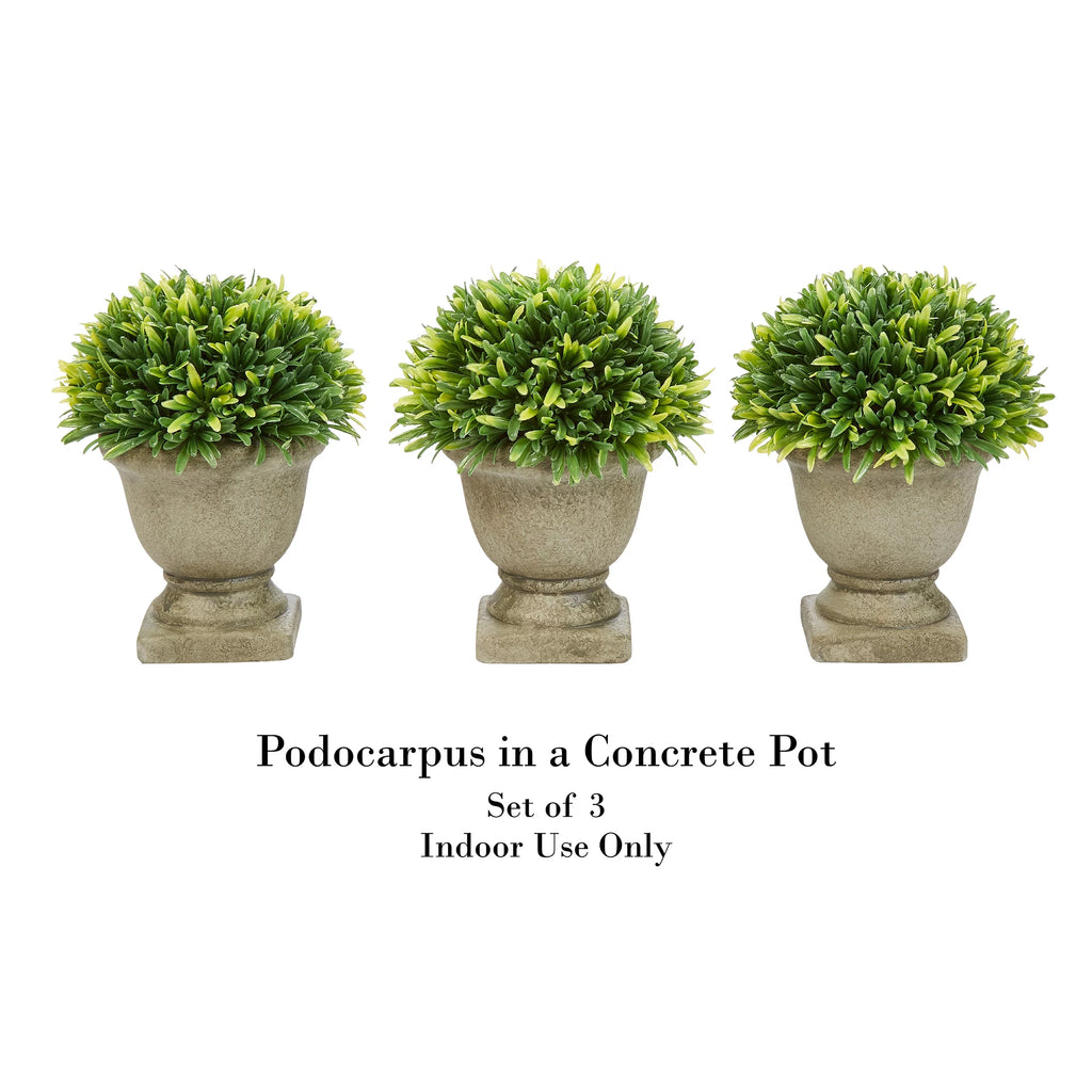 Artificial Podocarpus Grass Plant in Concrete Pot Set of 3 D28299