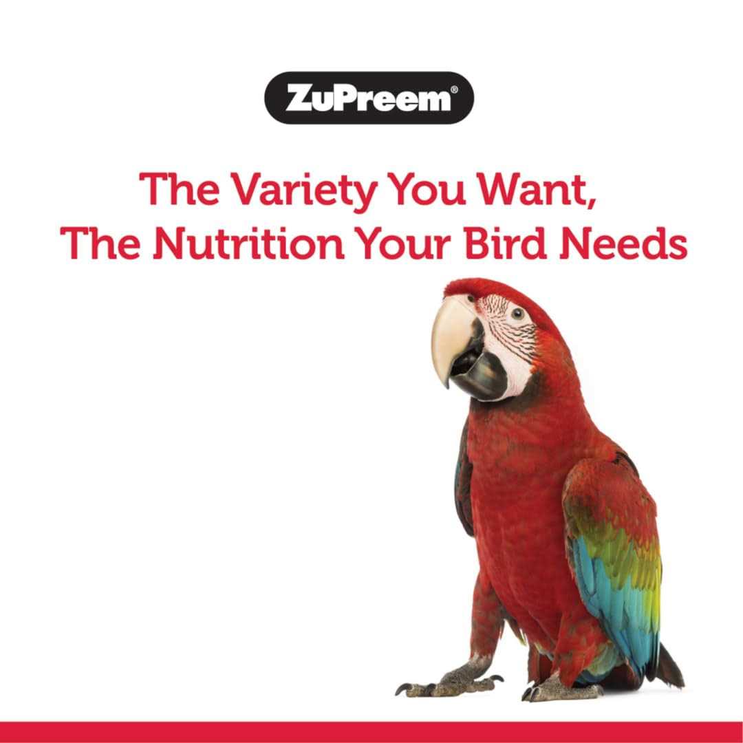 Bird Food Large O6077