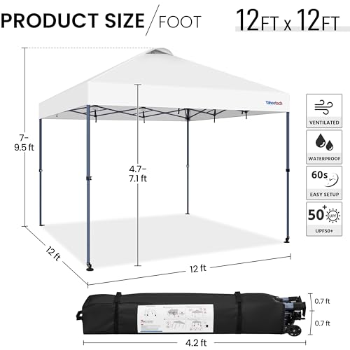10x10 Pop-up Canopy Tent with Carry Bag, Black E786