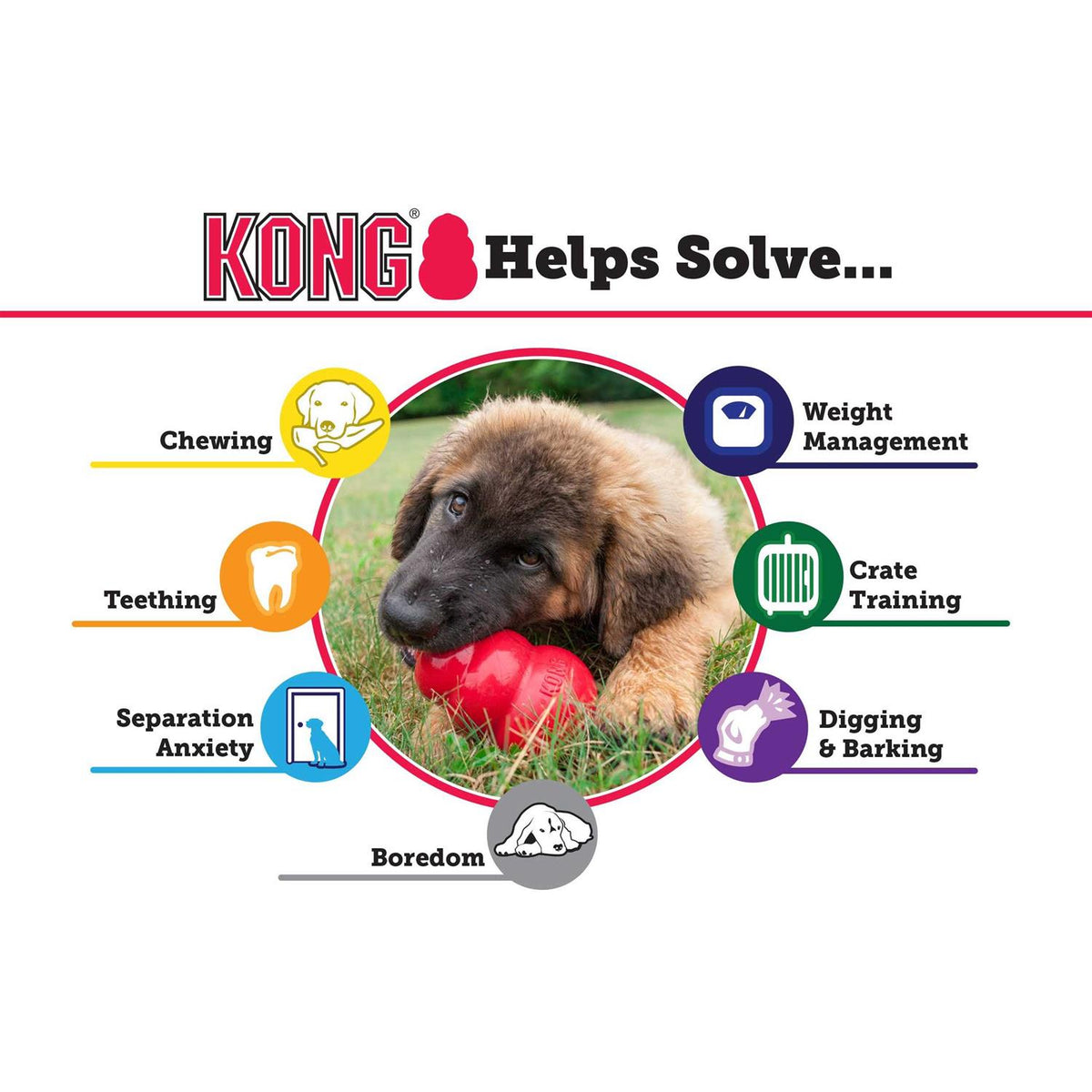 KONG Dog Toy G86138