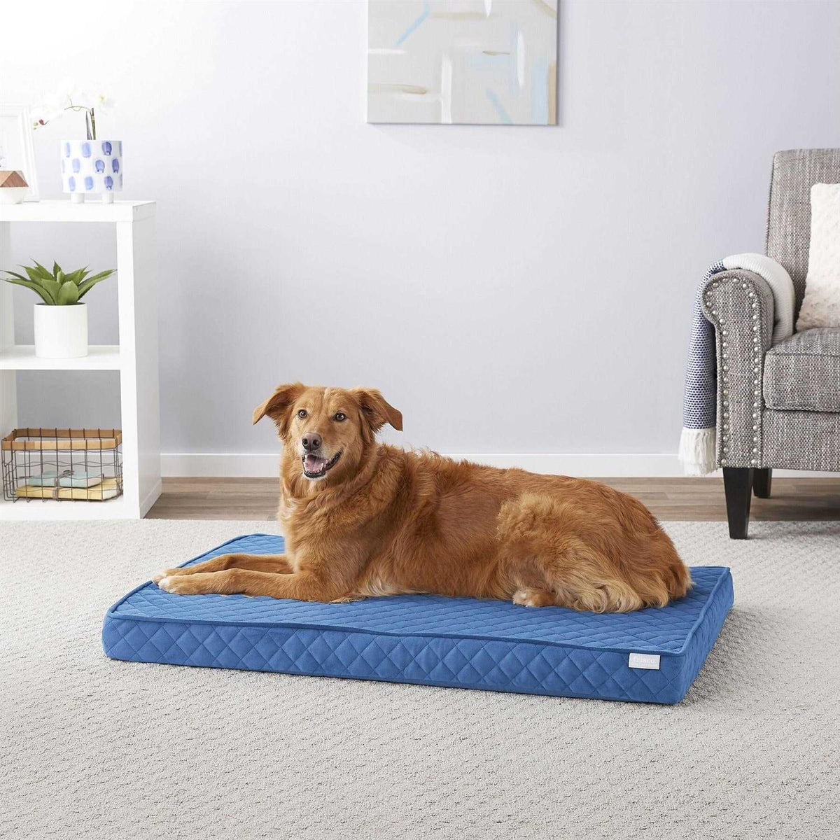 Quilted Orthopedic Cat Dog Bed with Removable Cover D562