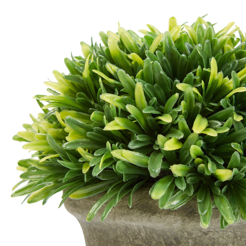 Artificial Podocarpus Grass Plant in Concrete Pot Set of 3 D28299