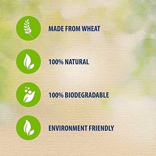Biodegradable Natural Clumping Cat Litter 8L I498204