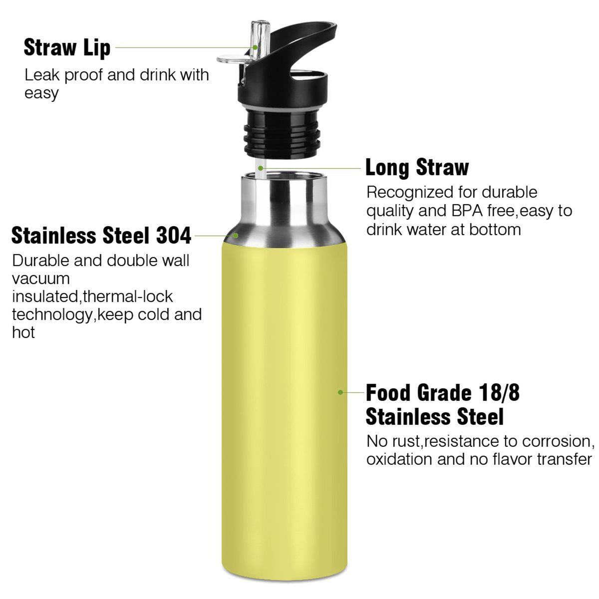 20 OZ Stainless Steel Vacuum Insulated Water Bottle with Straw Lid H447459