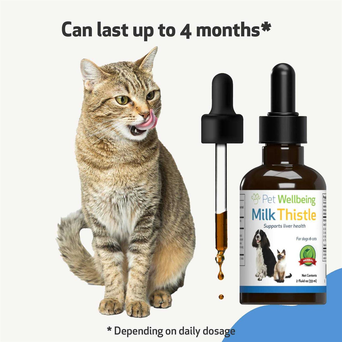 Milk Thistle for Dogs Z24228
