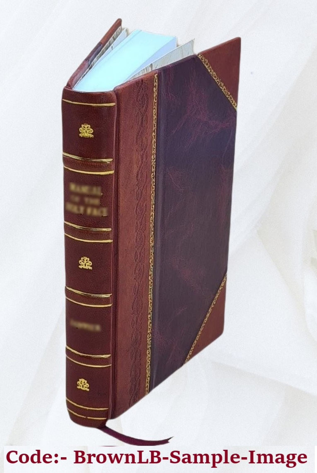 Leather Bound Book P693