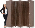 Brown Wood Mesh Folding Room Divider Screen W223