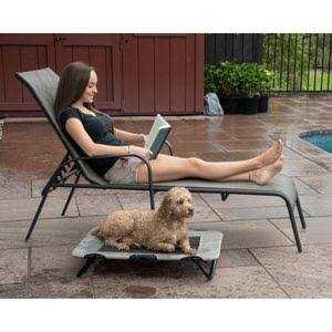 Elevated Pet Cot T7581