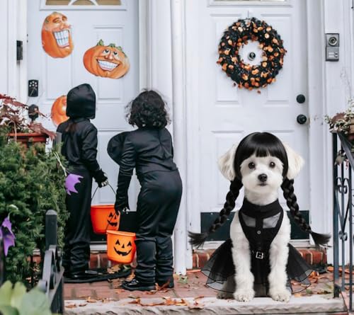 Black Dog Costume with Wig and Belt H813225