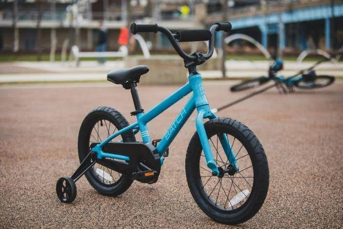 Kids Bicycle 16x22 A599487