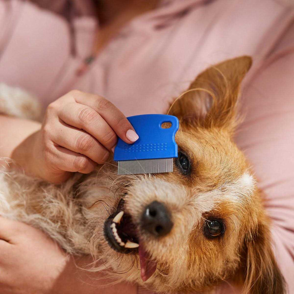Tear Stain Remover Comb for Dogs Extra Fine Tooth Z220