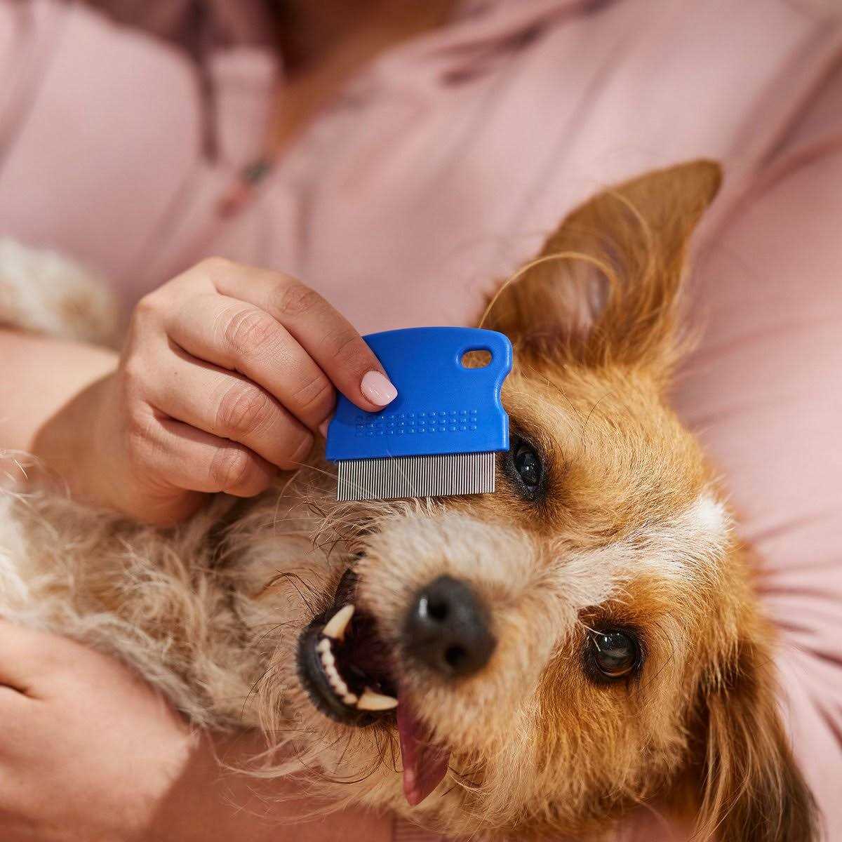 Tear Stain Remover Comb for Dogs Extra Fine Tooth Z220