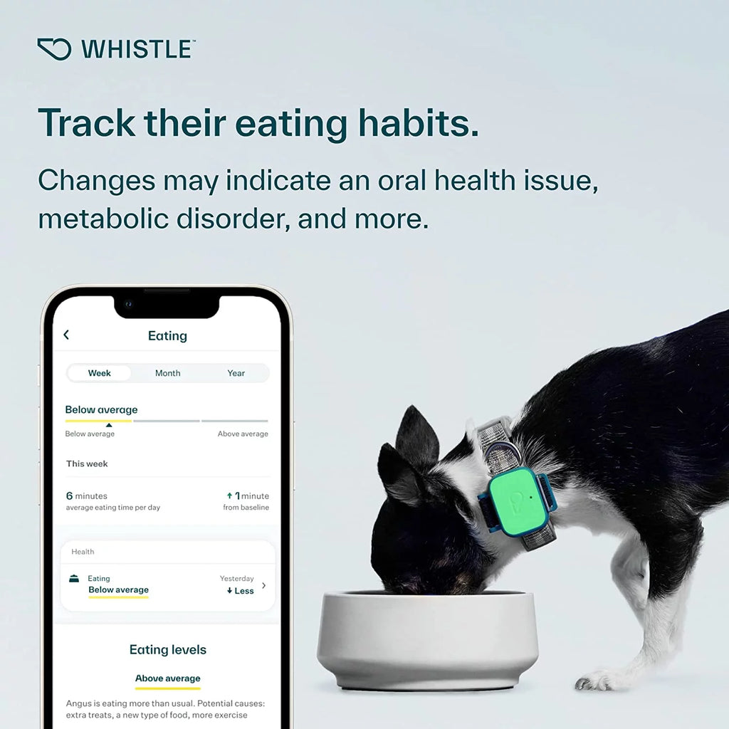 Dog Health and Fitness Tracker Y279834