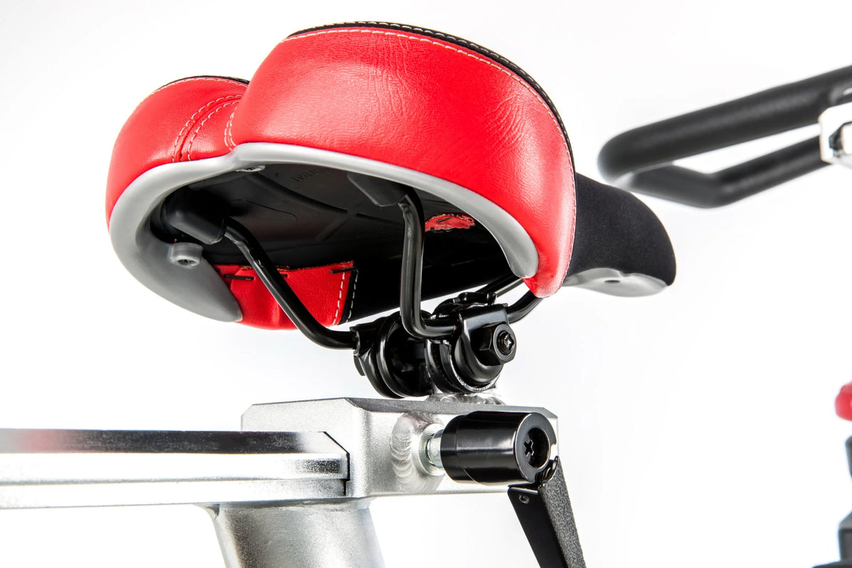 Adjustable Indoor Stationary Cycling Bike D120