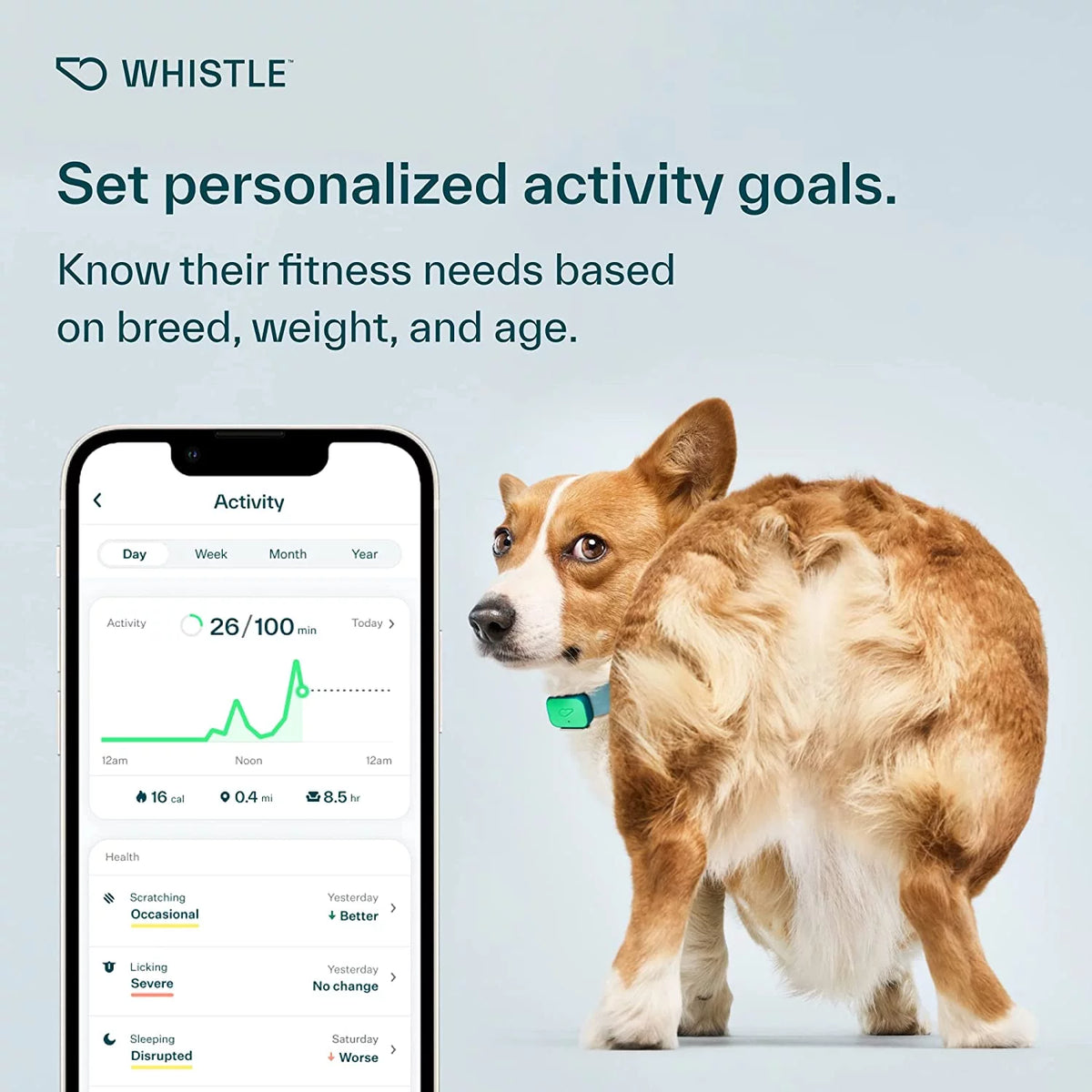 Dog Health and Fitness Tracker Y279834