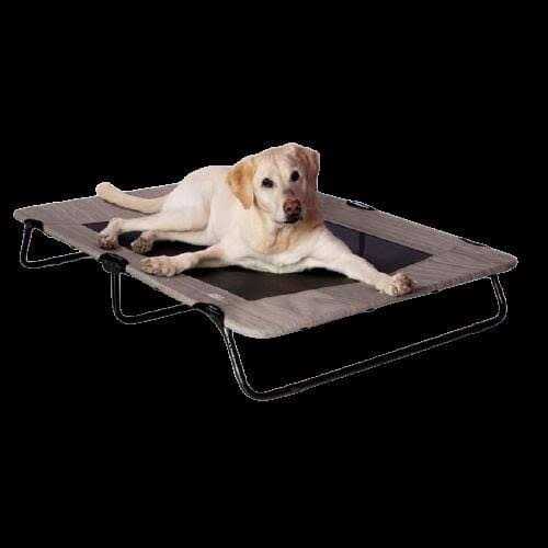 Elevated Pet Cot T7581