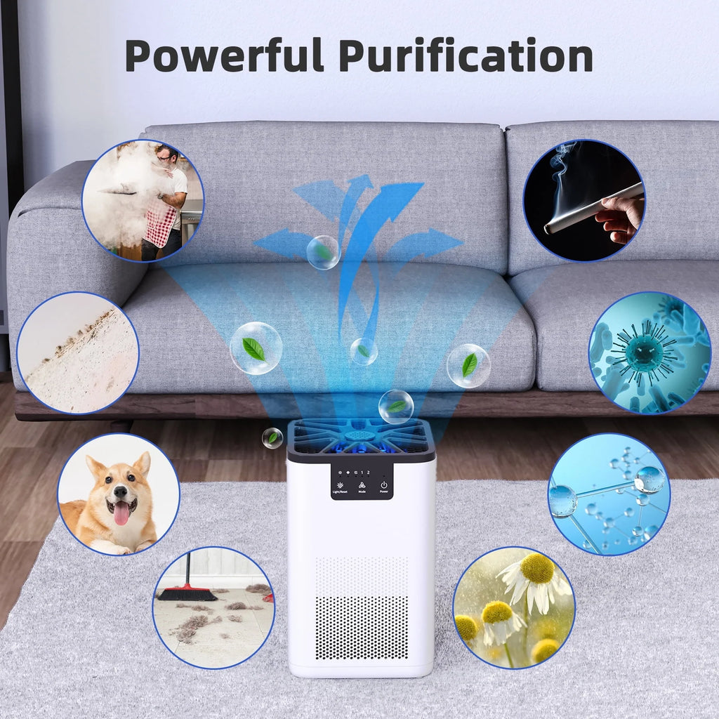Air Purifier with H13 True HEPA Filter D9591
