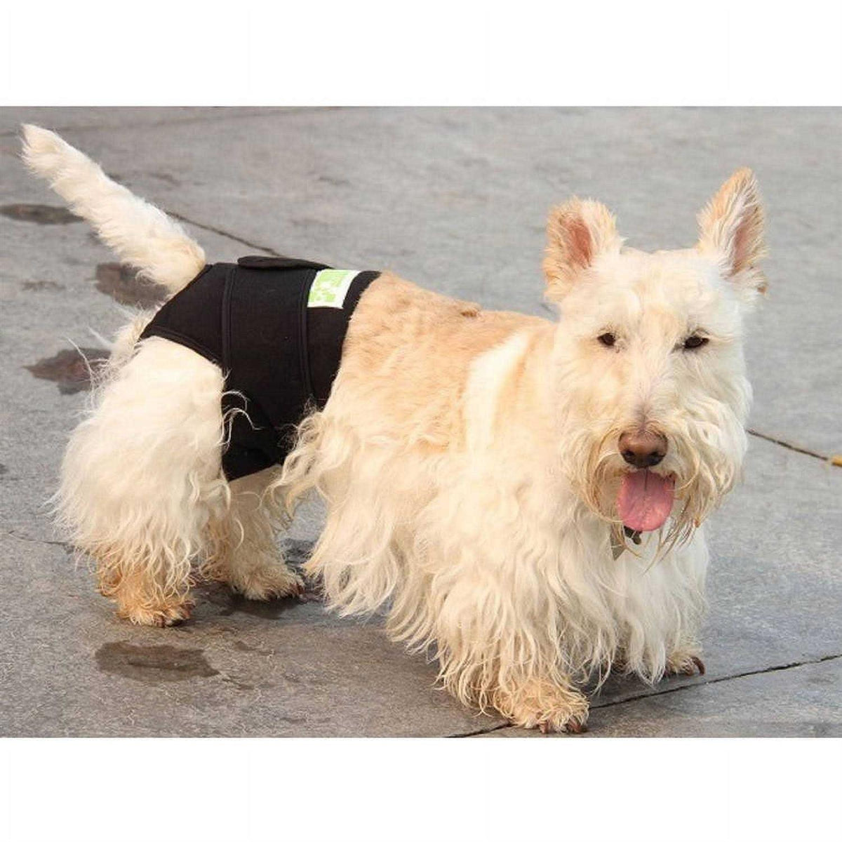 Dog Wrap K372