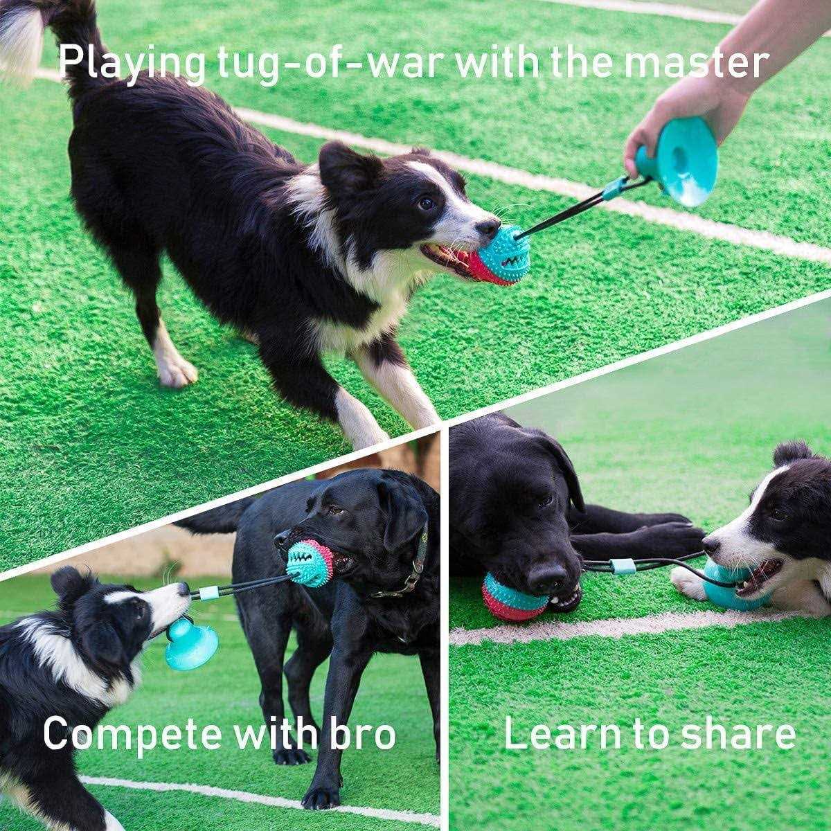 Dog Toys for Aggressive Chewers, Interactive Tug of War Toys Z902