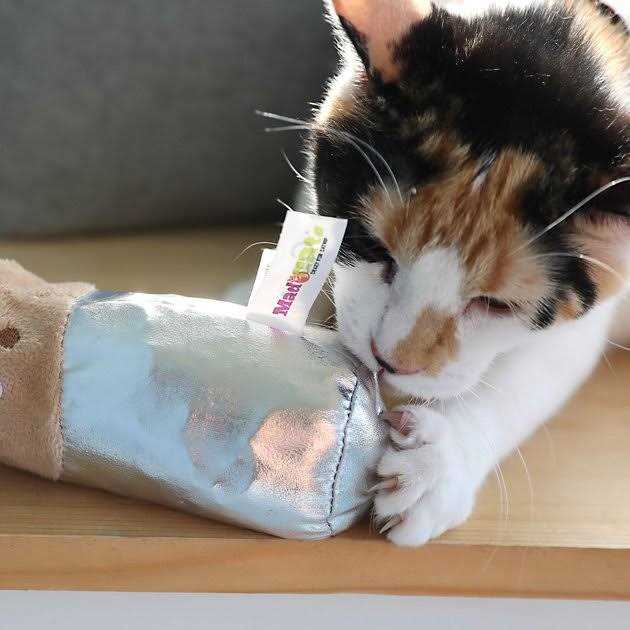 Cat Toy J16394