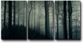 Three Piece Canvas Art, 24x36 Inches F328